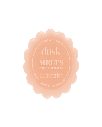 Sweet Rockmelon Scented Wax Melt