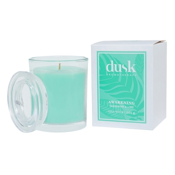 Tangerine &amp; Lime Awakening 1 Wick Scented Candle