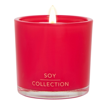 Raspberry & Rosewater Mini Soy Scented Candle