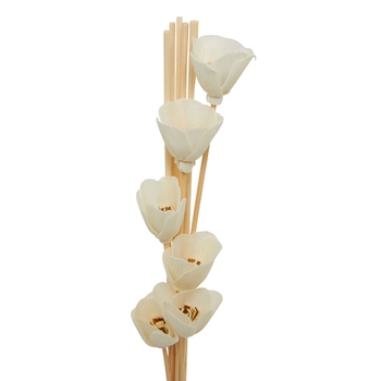 Flora Natural Reeds