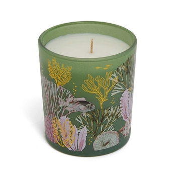 Lotus & Coastal Grass 1 Wick Scented Candle