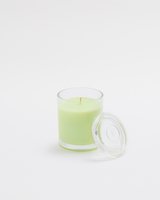 Lemongrass Zest 2 Wick Scented Candle