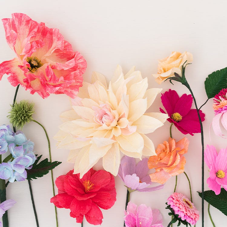 Shop Floral Fragrances