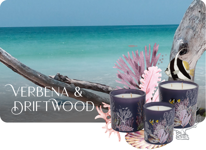 Shop Verbena Driftwood