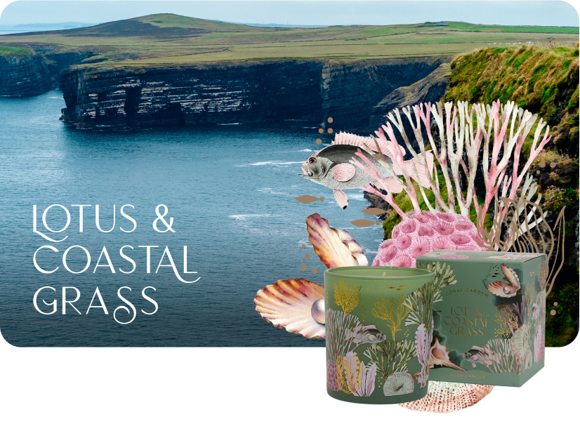 Shop Lotus Coastal Grass