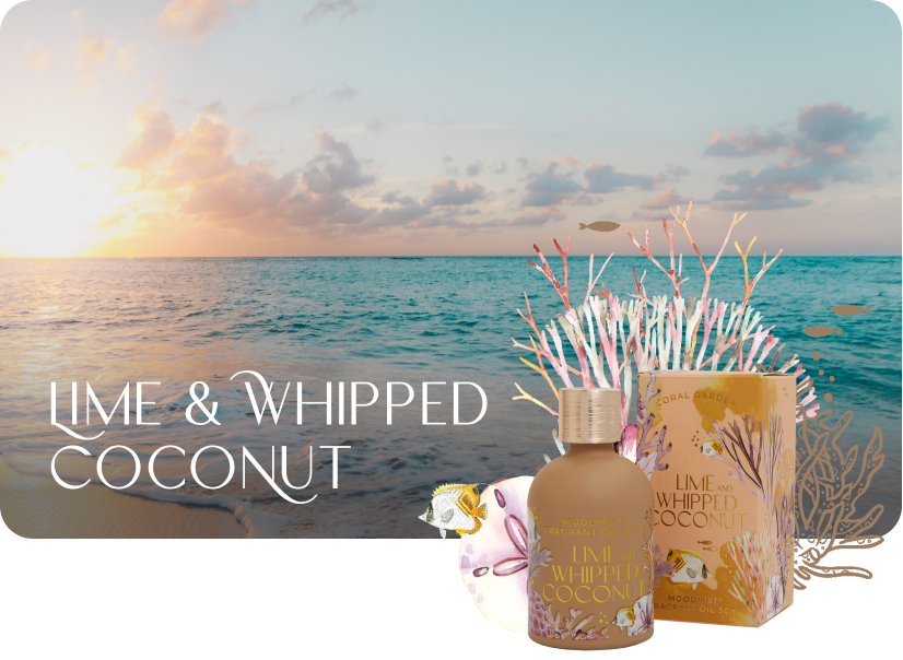 Shop Lime Whipped Coconut