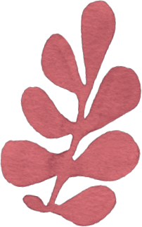 Modern Muse Nurture Element